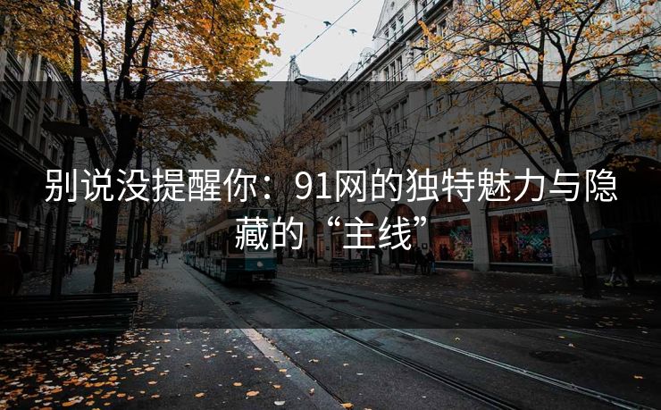 别说没提醒你：91网的独特魅力与隐藏的“主线”
